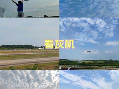 -空港花田景区