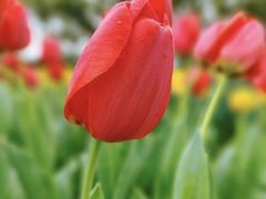 -玄武湖景区-情侣园游乐场