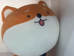 -思琪宠物医院(昆山花桥店)