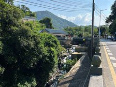 -黄埔油麻山森林公园
