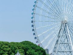 -无锡蠡湖国家湿地公园-蠡园
