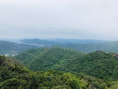 -亚龙湾热带天堂森林公园