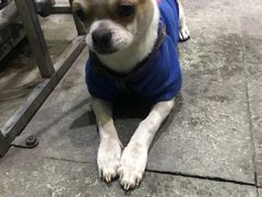 -熊记火盆景鱼火锅(永庆路店)