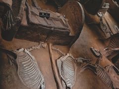 -洛阳周王城天子驾六博物馆