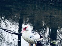 -白水寺森林公园