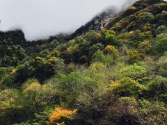 -青峰峡国家森林公园