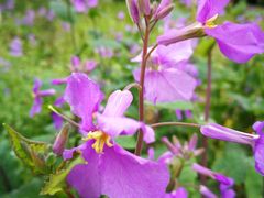 -艾溪湖湿地公园