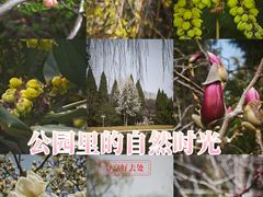 -济南南郊宾馆