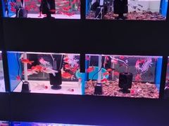 -三旗百汇商品城