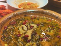 -阿英煲(凉城路店)