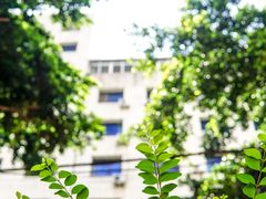 -镇江龙·火锅串串(武侯祠店)