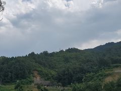 -后柳水乡