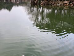 -白马涧龙池景区