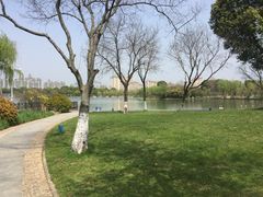 -暨阳湖生态园