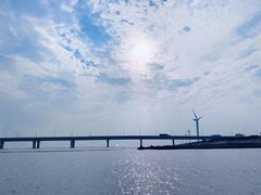 -南汇新城海滩