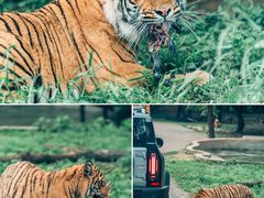 -乐和乐都主题乐园