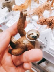 -kidsland(上海环球港店)