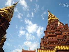 景点-告庄西双景