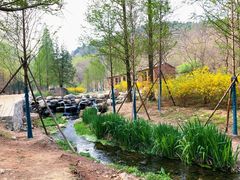-白水寺森林公园