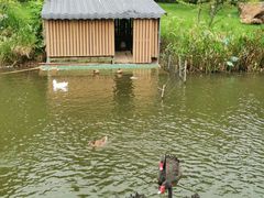-映月湖公园