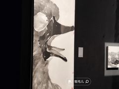 -德基艺术博物馆