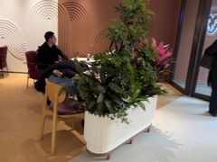 -COSTA COFFEE(新奥购物中心店)