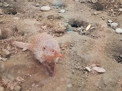 -国色天乡三期陆地乐园