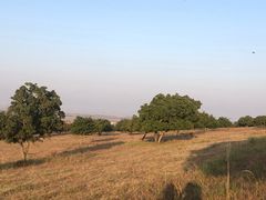 -五角枫生态旅游景区