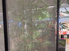 -绿茶餐厅(青岛城阳万象汇店)