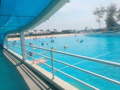 -秦皇岛乐岛海洋王国