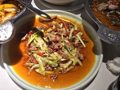 -沸腾鱼乡(知春路分店)