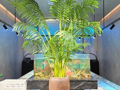 -曼格纳·曼芯馆(杨浦店)