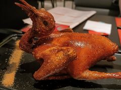 -羽鸽集·乳鸽专门店·地道顺德菜(岭南站店)