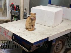 -江杨农产品批发市场