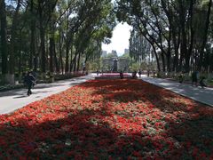 -西宁市人民公园(城西区)