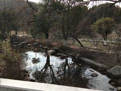 -白马涧龙池景区