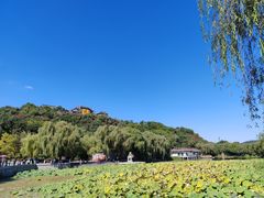 -北山公园