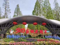 -东平国家森林公园