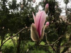 -贵阳市花溪国家城市湿地公园