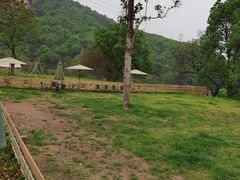-趣多多宠物公园·宠物训犬学校·宠物寄养