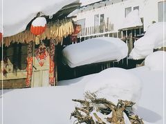 -东北人家铁锅炖(鞍山路店)
