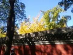 小区环境-北京国子监胡同
