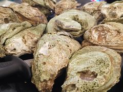 原只輕燒生蠔-大富蚝乌东哥饭店·石锅鱼杂·柠檬鸭(革新路店)