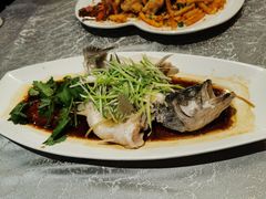 清蒸青斑-鱼乐轩海鲜专门店