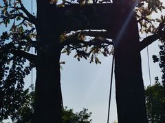 -西青郊野公园