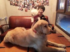 -百好乐宠物友好餐厅(朝外大街店)