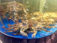 -蟹之国·精品蟹料理(极地店)