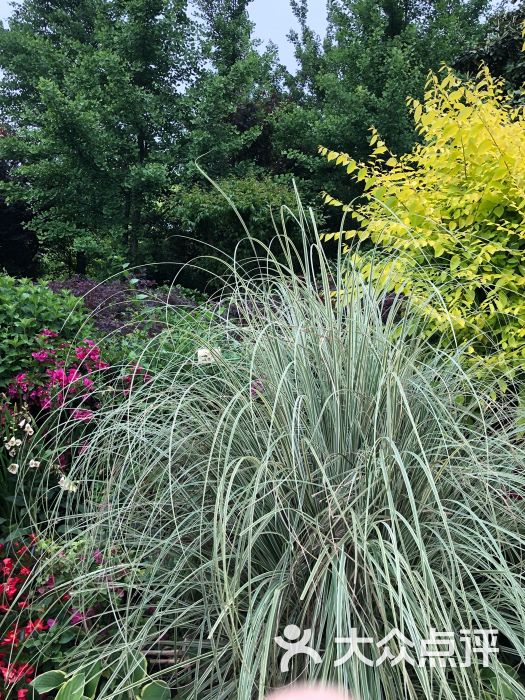 清涧公园-图片-上海周边游-大众点评网