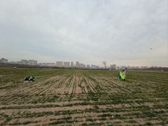 -汉长安城未央宫国家考古遗址公园