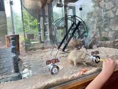 -珠海海泉湾神秘岛亲子乐园